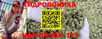 твердый Кандалакша